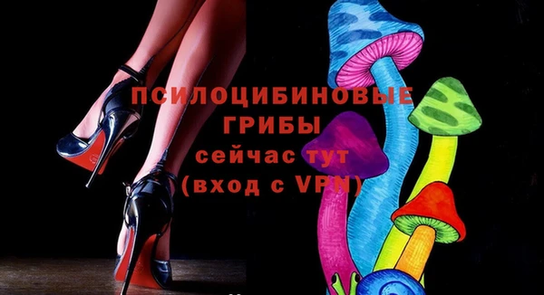 a pvp Магадан