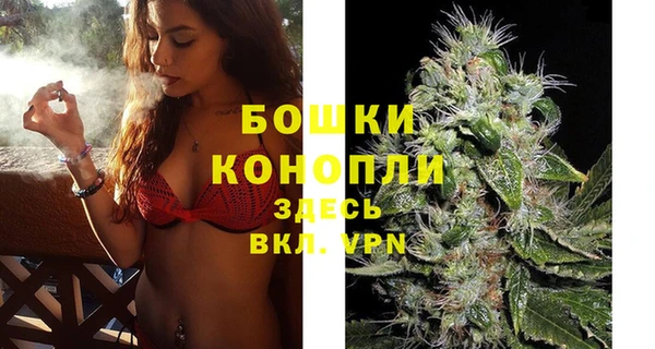 стафф Майский