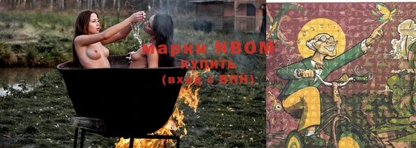 стафф Майский