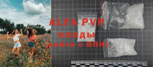 стафф Майский