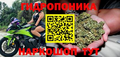 ПСИЛОЦИБИНОВЫЕ ГРИБЫ Волжский