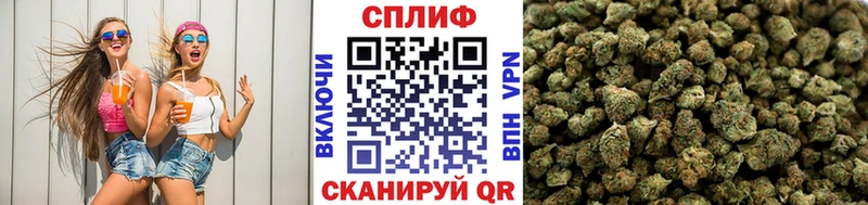 Бошки Шишки VHQ  Кемерово 